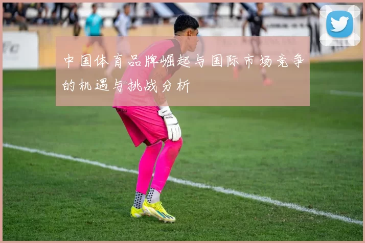 中国体育品牌崛起与国际市场竞争的机遇与挑战分析