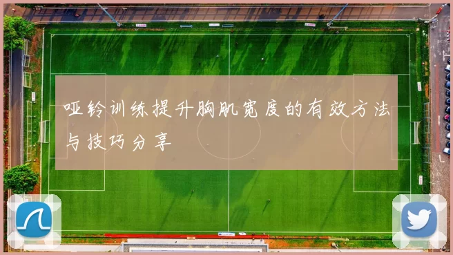 哑铃训练提升胸肌宽度的有效方法与技巧分享